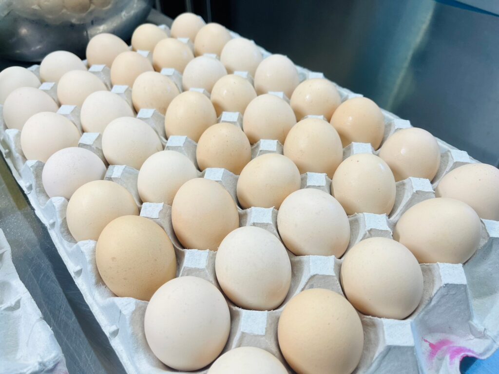 滋賀県守山市のシフォンケーキ専門店13chiffonが使用する厳選された新鮮な朝採れ卵